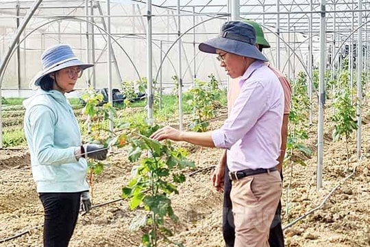 Nam Sách có thêm 19 sản phẩm tham gia OCOP
